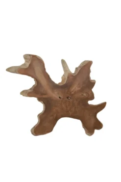 Boomstal schijf wortel teak schijf