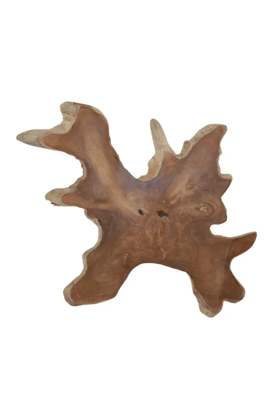 Boomstal schijf wortel teak schijf