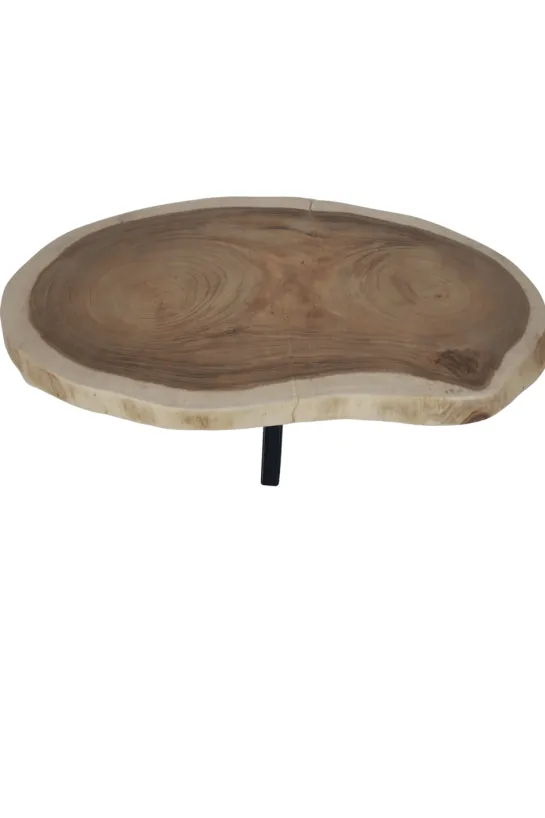 Boomstam salontafel met metalen poot