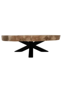 boomstam salontafel van suarhout