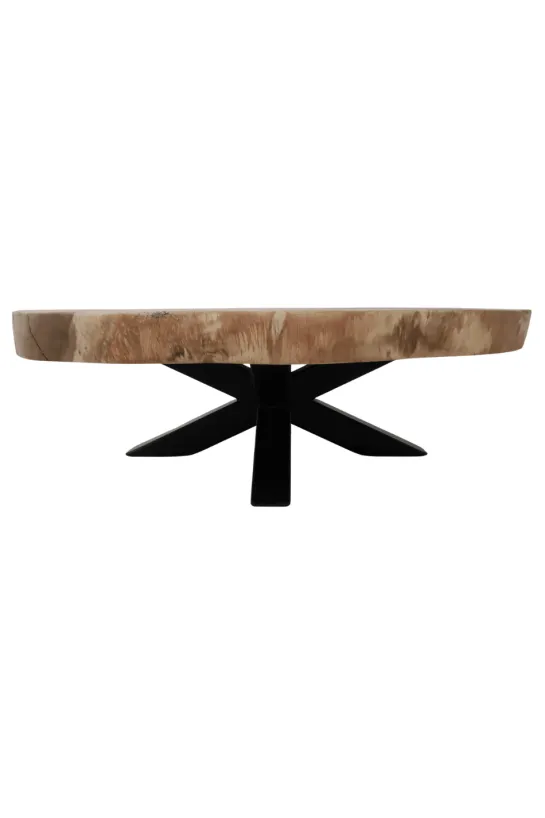 boomstam salontafel van suarhout