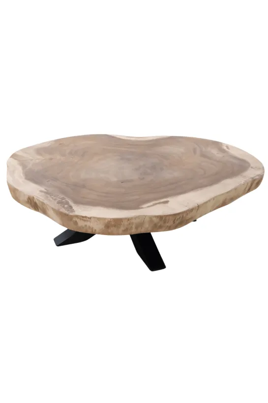 boomstam salontafel van suarhout