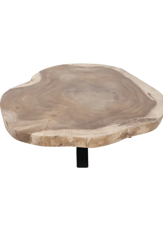 boomstam salontafel van suarhout
