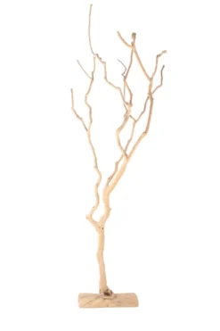 Decoratieve boom