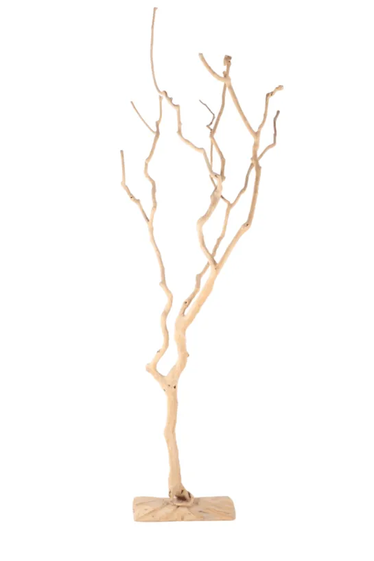 Decoratieve boom