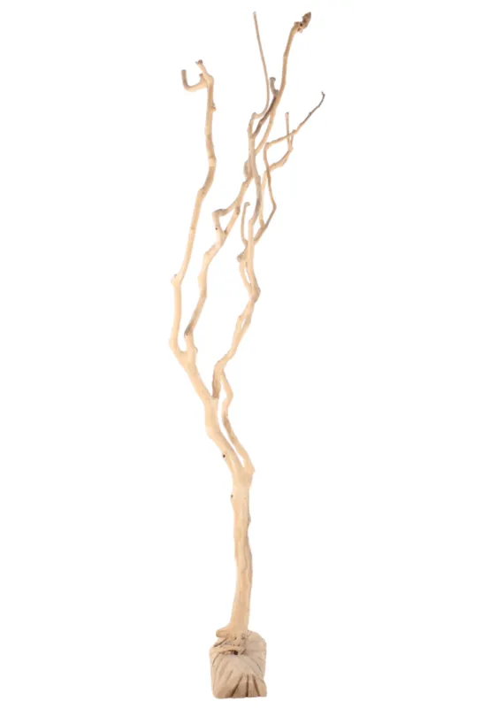 Decoratieve boom