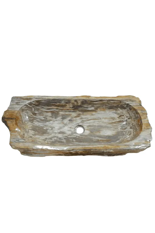 Fossiele Versteend Houten Wasbak
