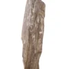 Grote versteend houten stronk – Kunstwerk