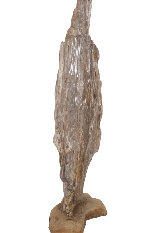 Grote versteend houten stronk – Kunstwerk