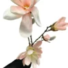 Magnolia tak
