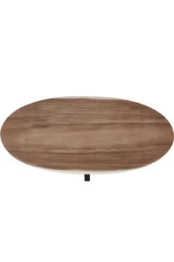 Ovale houten salontafel met metalen spinpoot