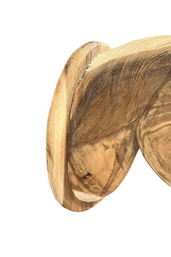 Paardenhoofd van hout