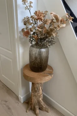 Pilaar Wortel Teak
