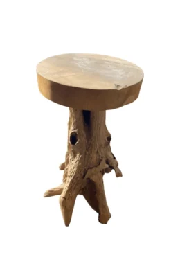 Pilaar Wortel Teak
