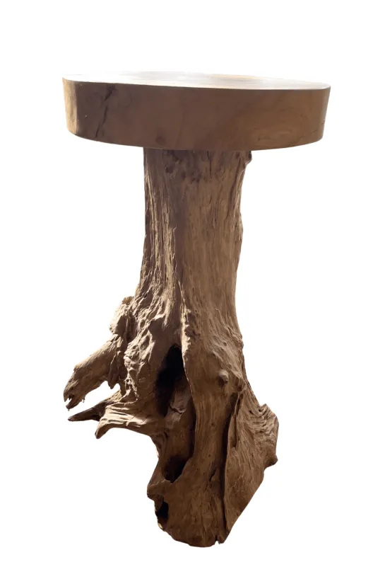 Pilaar Wortel Teak