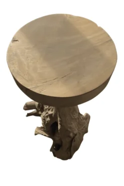 Pilaar Wortel Teak