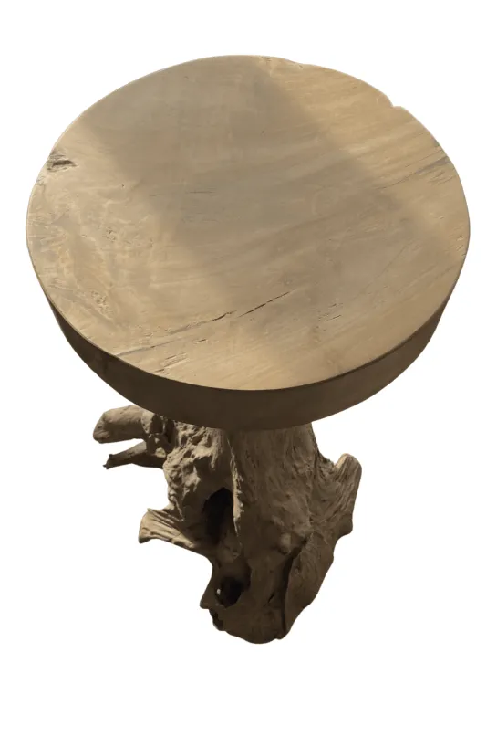 Pilaar Wortel Teak