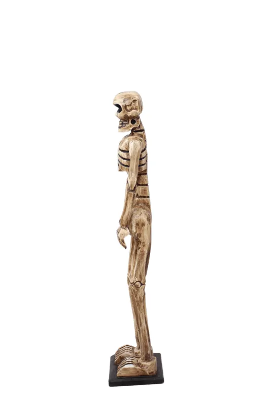 skelet halloween decoratie