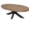 Teakhouten Ovale Salontafel – Landelijk & Industrieel 120×60 cm