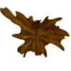 Teakhouten wanddecoratie wortel