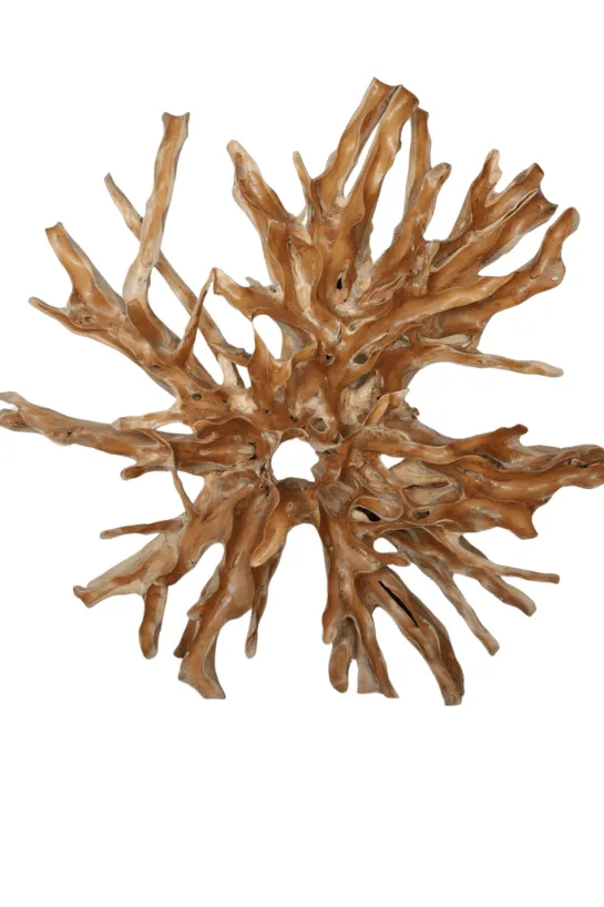 Teakhouten wortel wanddecoratie 200x40x200 cm rond