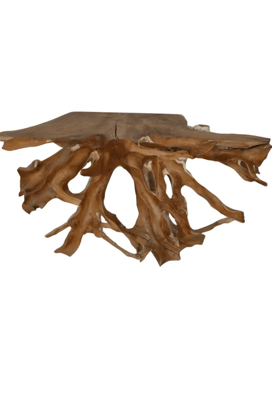 Teak wortel side table 130 cm