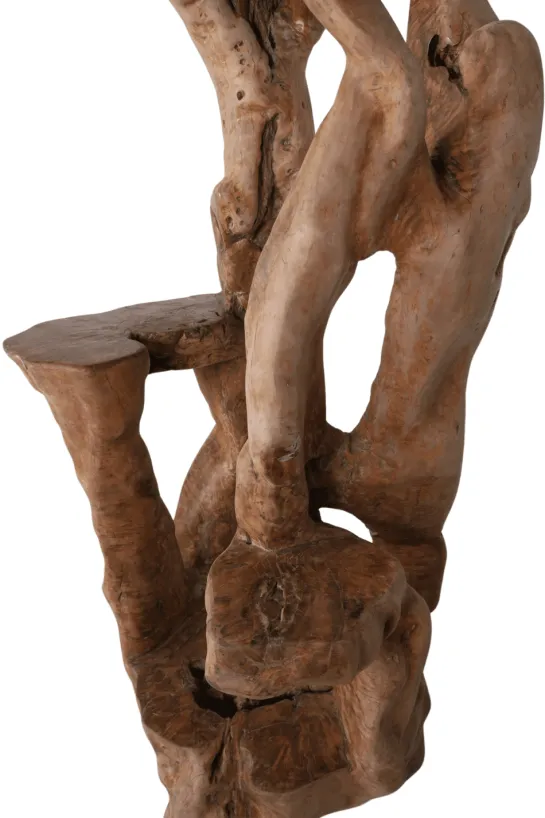 Unieke grote houten etagere/ plantentafel