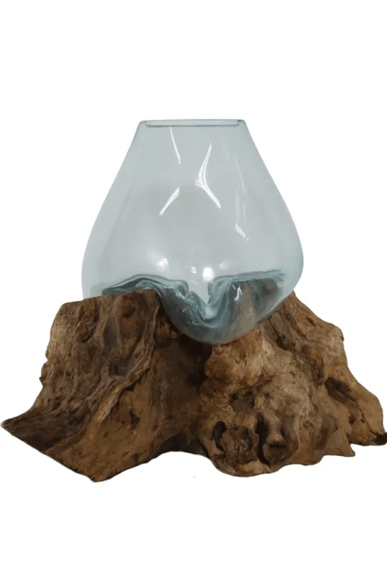 Vaas van Geblazen Glas op Teak Houten Stronk