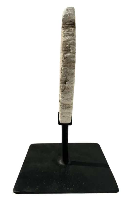 Versteend hout op statief