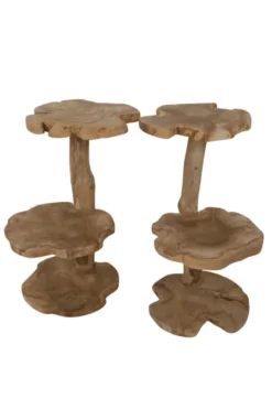 Wortel Teak Houten Kattenpaal / Plantentafel – 2 Plateau’s