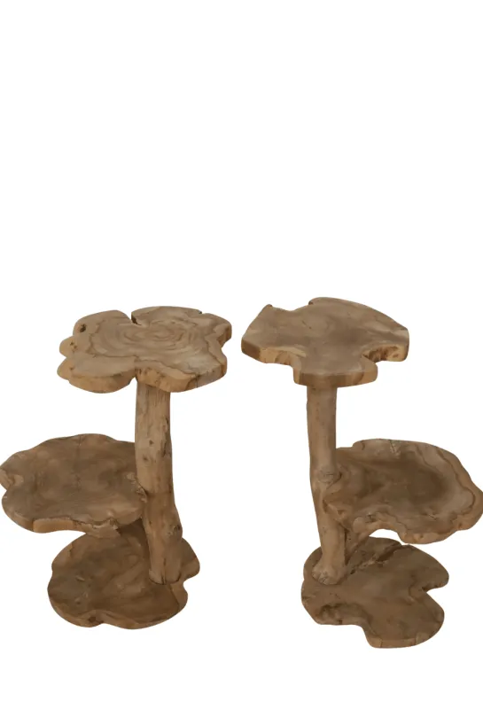 Wortel Teak Houten Kattenpaal / Plantentafel – 2 Plateau’s
