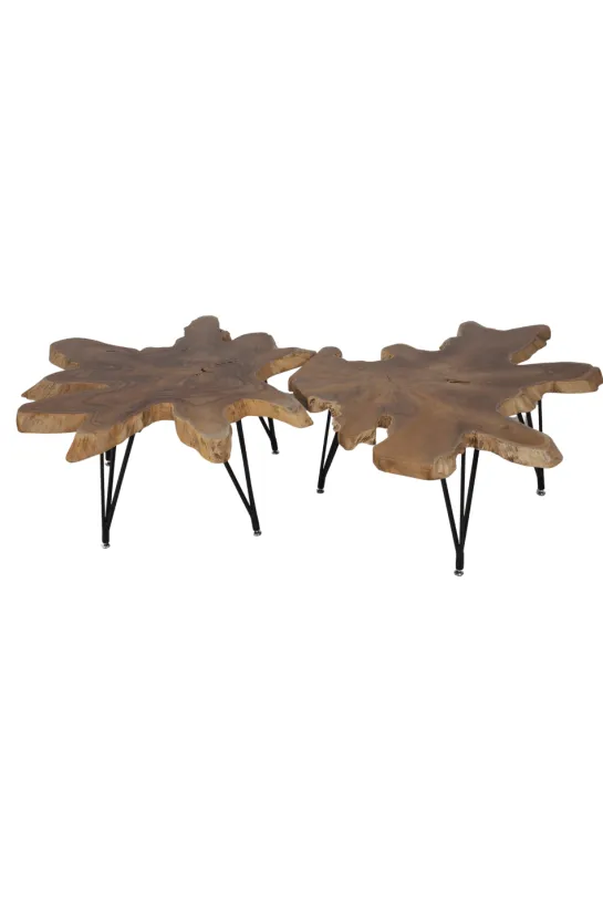 Wortel teak salontafel