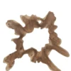 Wortel teak schijf met gat