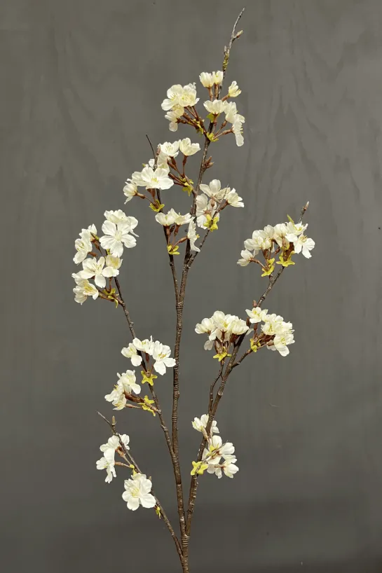 Zijde bloesemtak