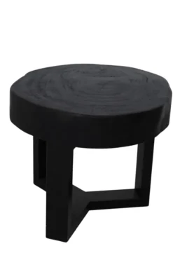 Zwarte Boomstam Salontafel