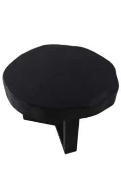 Zwarte Boomstam Salontafel